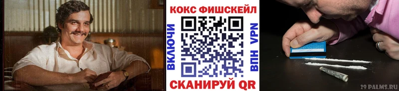 Купить где  Сафоново  COCAIN 99% 