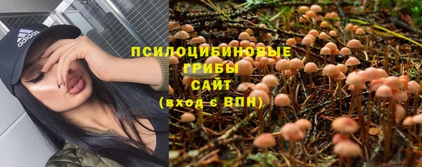 каннабис Каменногорск
