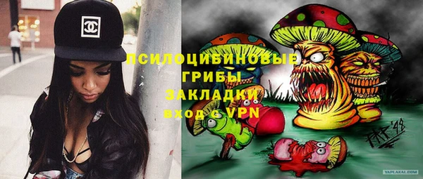 каннабис Каменногорск