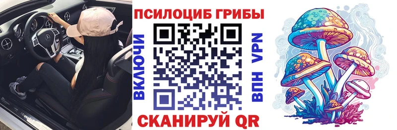 Галлюциногенные грибы Psilocybine cubensis  Купить закладки  Сафоново 